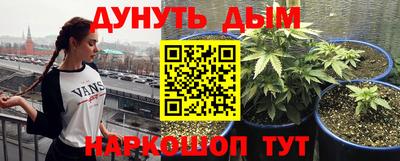гидропоника Дубна