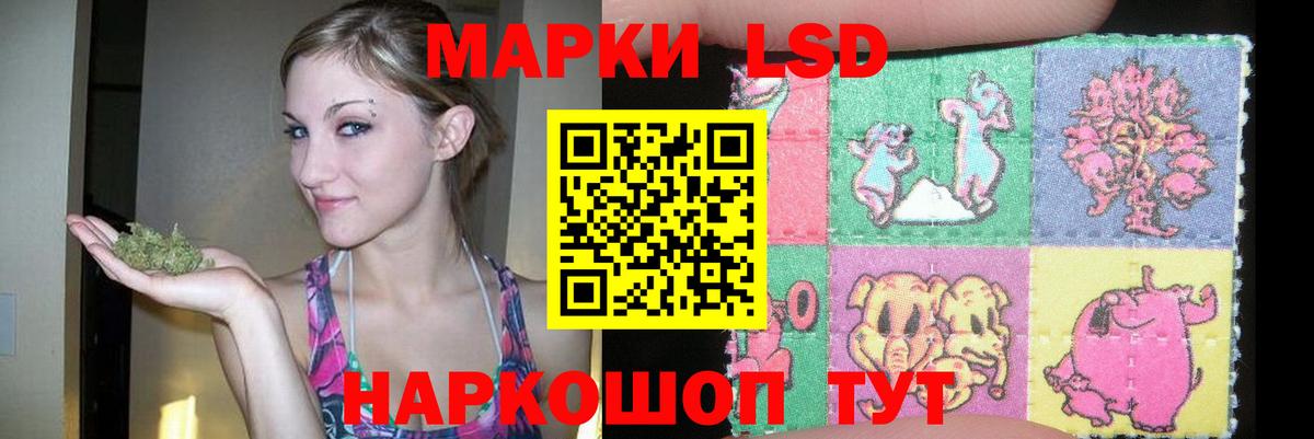 ЛСД экстази ecstasy  ЛСД экстази ecstasy  Вход с VPN  Йошкар-Ола 