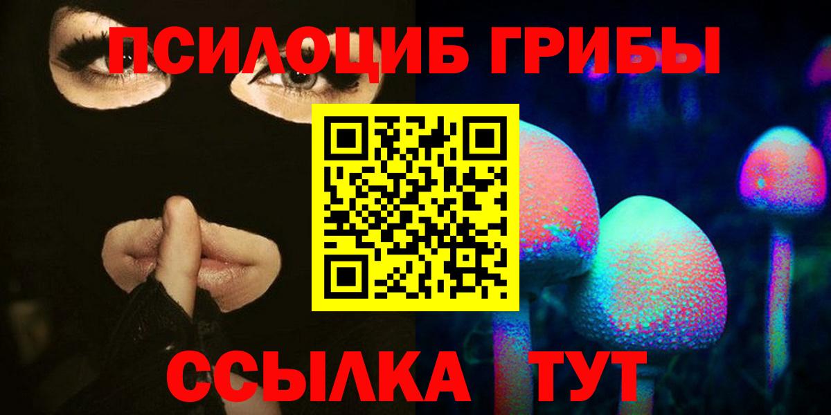 Йошкар-Ола  Галлюциногенные грибы прущие грибы  Вход с VPN  Галлюциногенные грибы Cubensis 